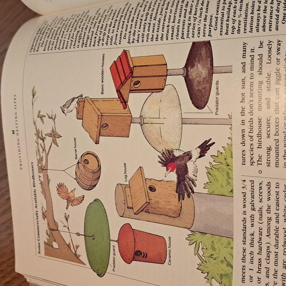 How to attract Birds/ BUNDLE ONLY 2or more items - Picture 13 of 16